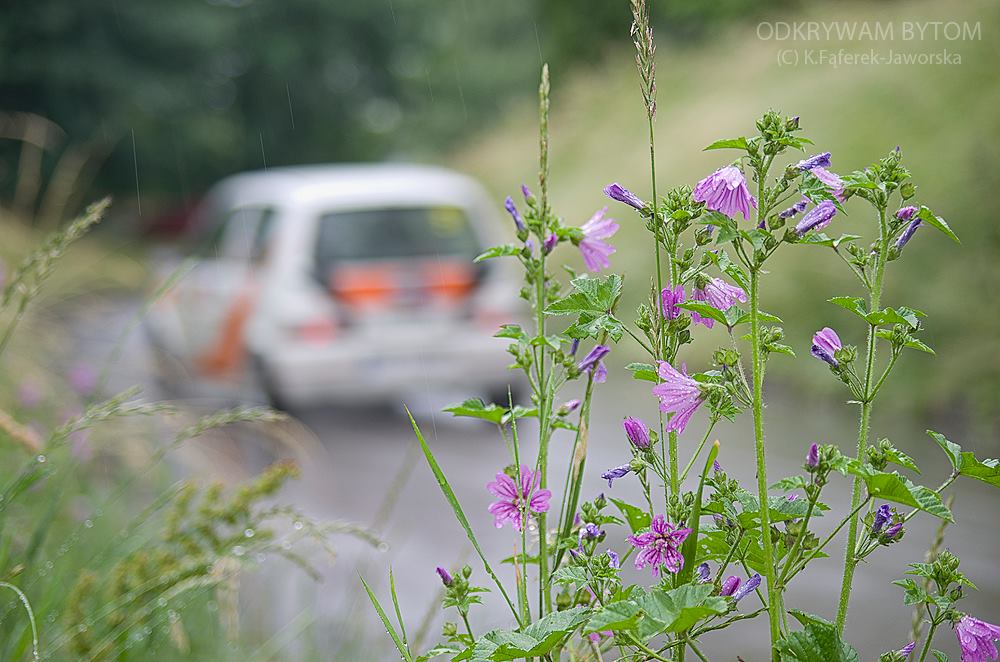 Szombierki Rally Sprint 2015